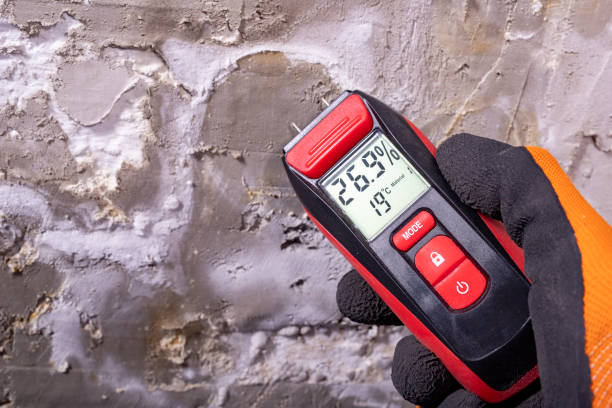 Best Emergency Mold Removal  in Palm Valley, TX
