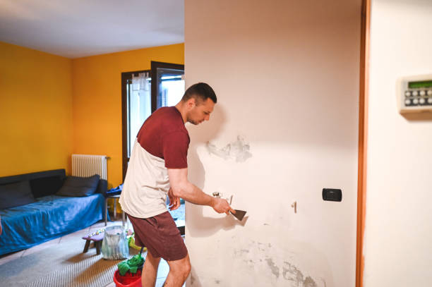 Best Local Mold Removal Service  in Palm Valley, TX